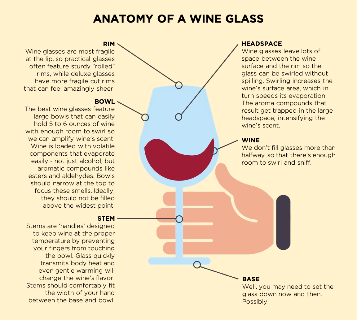 https://my.boissetcollection.com/sites/default/files/anatomy_of_wine_glass.png