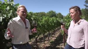 JCB LIVE Featuring Sophie Drucker, Director of Winegrowing at Boisset Collection